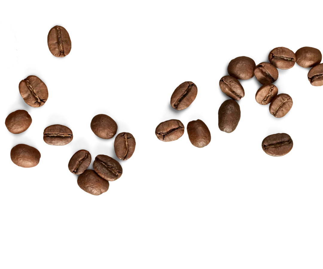 Decorativo Café
